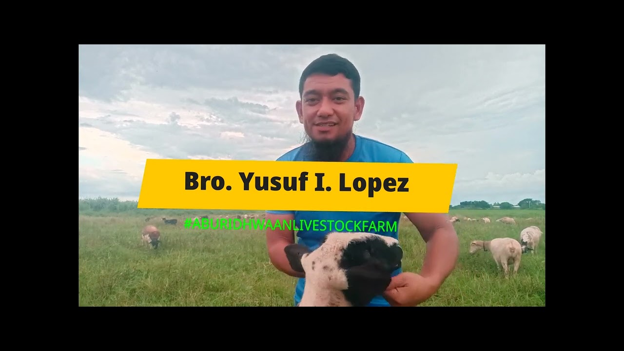 Mga Mumunting Payo Bago Tayo Bumili Ng Ating mga Tupa (Sheep), Halinat  Ating Pakinggan ❤️❤️❤️