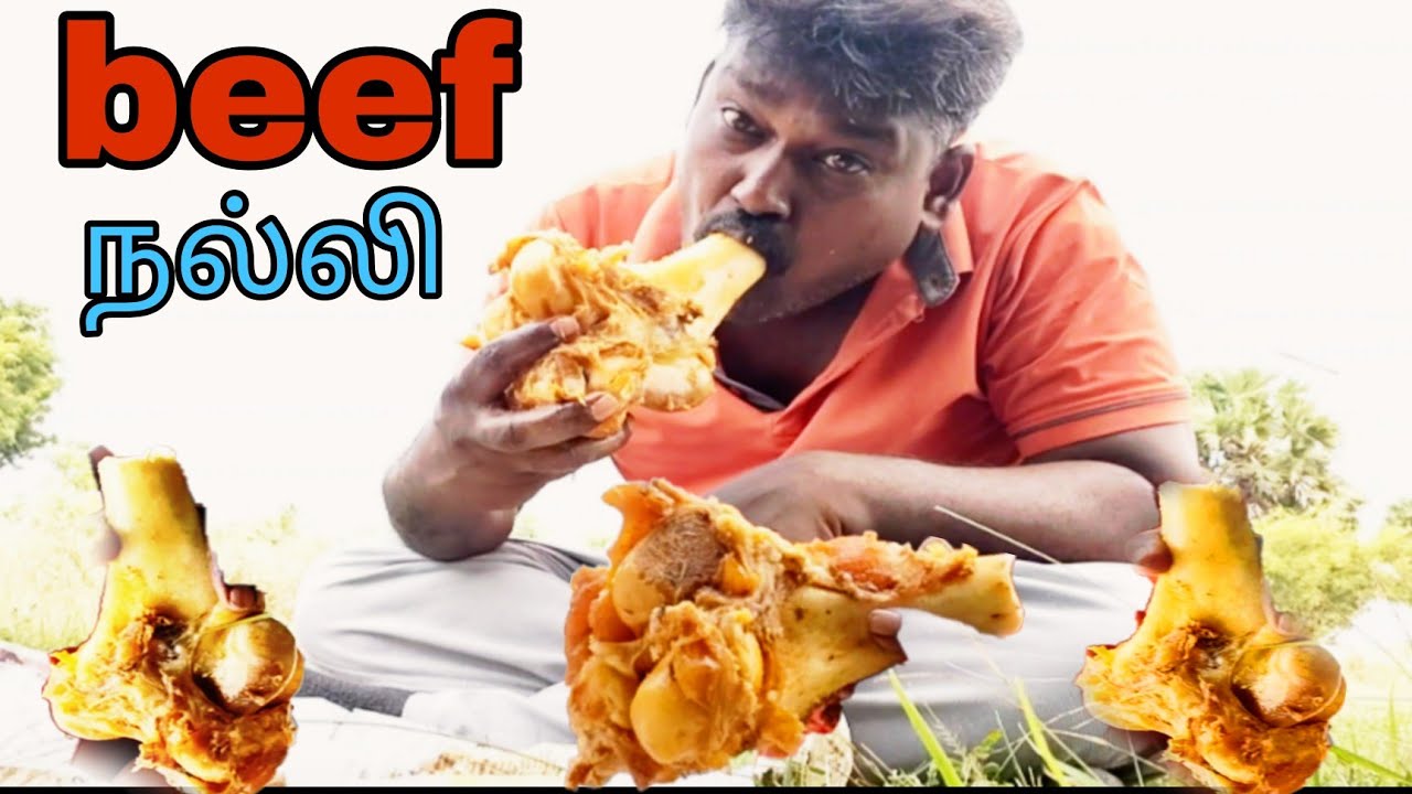 💥BIG SIZE BEEF 🍖 NALLI BONE EATING 😋