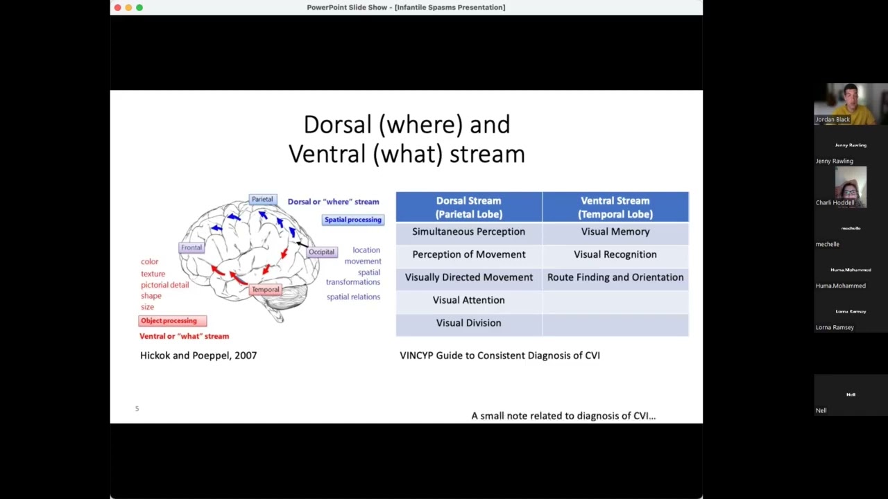 Cerebral Visual Impairment