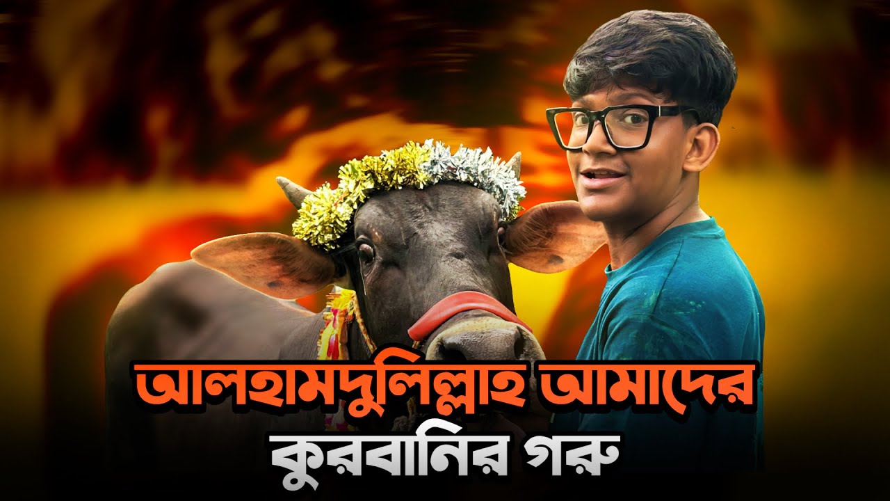 || আলহামদুলিল্লাহ আমাদের কুরবানির গরু ২০২৫|| শাহজানপুর গরুর হাট||@gmMushfiqurRahman
