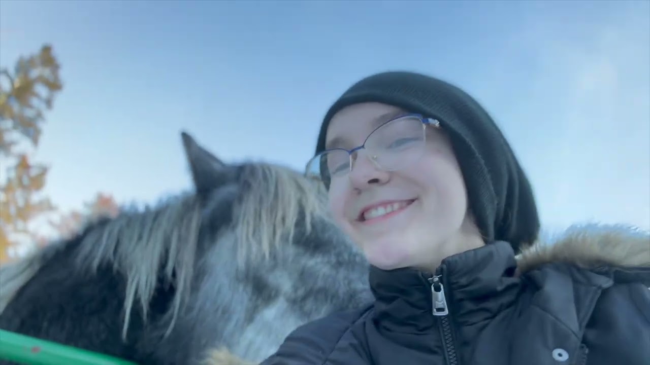 Rescued Percheron 