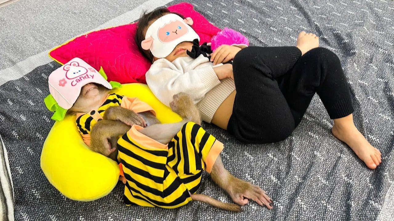 Diem and Monkey Kaka experience sleeping with the newly bought eye mask
