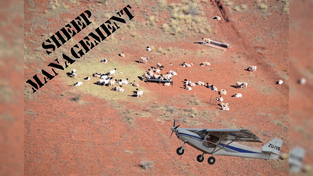 Farm Ops / Livestock management in the Kalahari - ICP Savannah-S Light Sport Aircraft