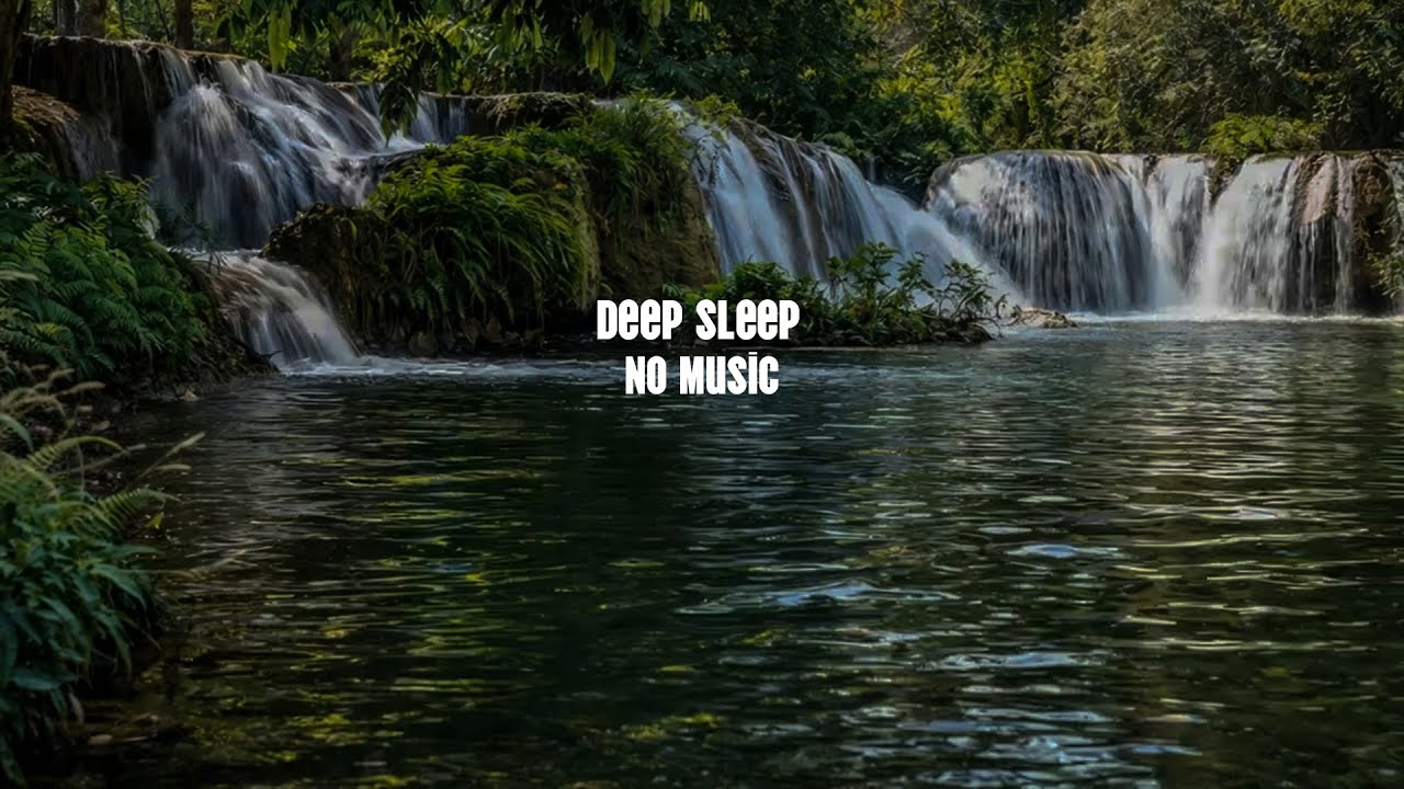 Fall Asleep Fast ASMR – Peaceful Forest River | No Music