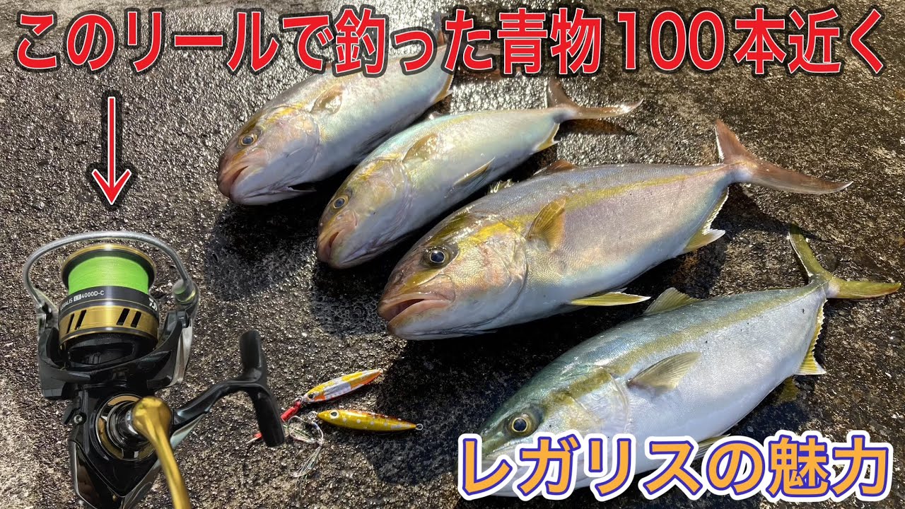 これで釣った青物の数100本近く！おすすめリールを紹介します！【DAIWA LEGALIS LT4000D-C】