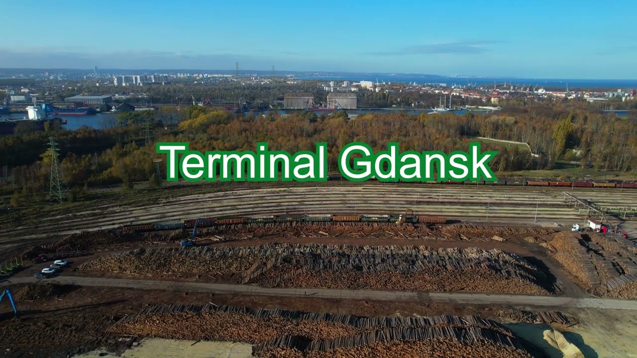 Wood terminal in Gdansk_GigaWood