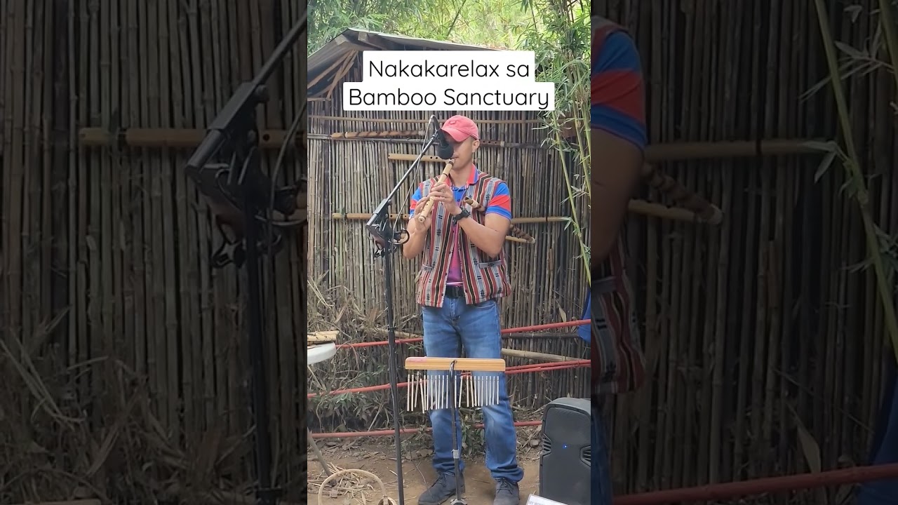 Yung relaxing ambiance with this kind of music 