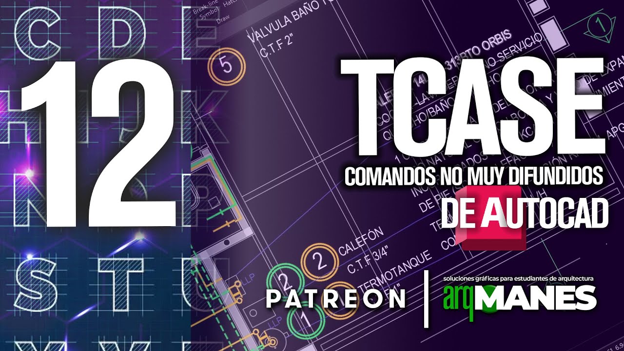 TCASE | AUTOCAD AVANZADO | Tus textos a otro nivel! | MAYUSCULAS y minúsculas | PRO