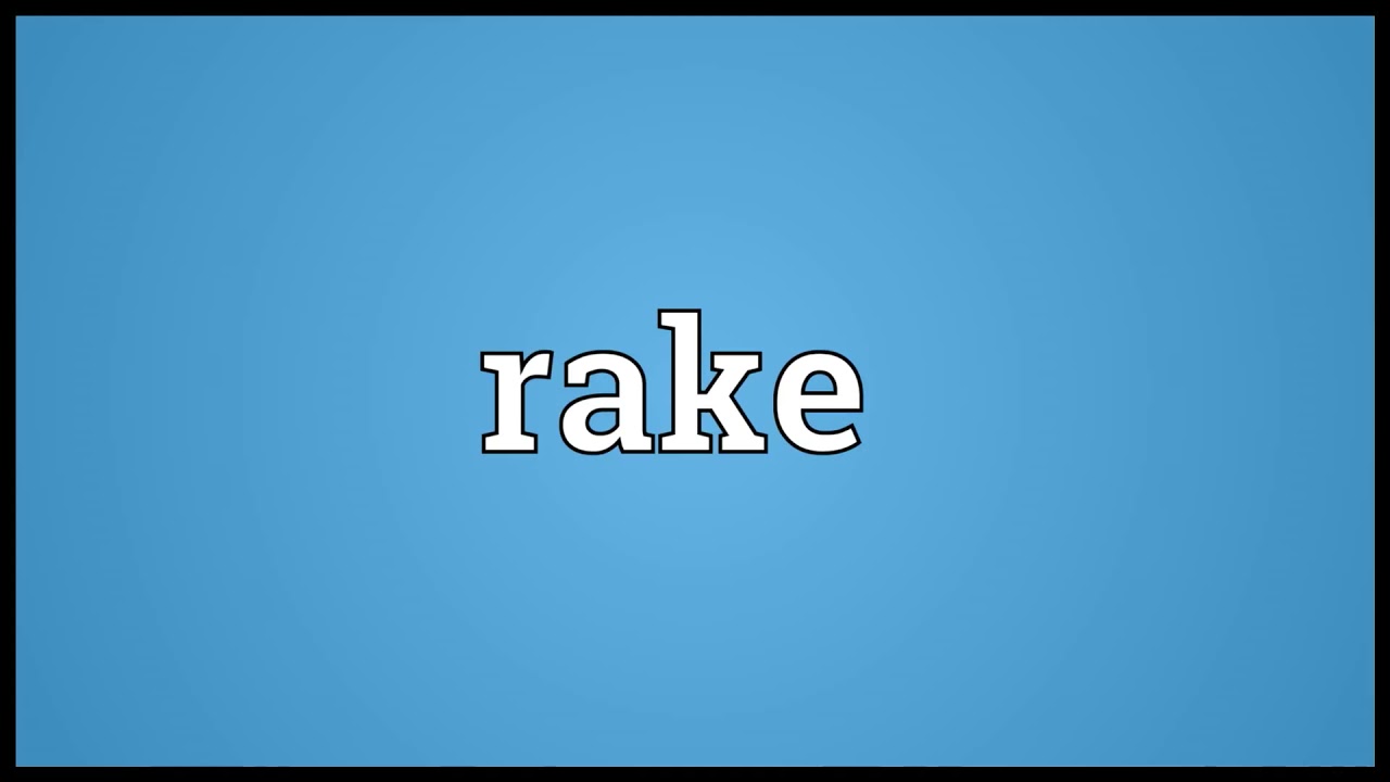rake meaning in English