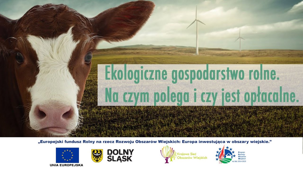Ekologiczne gospodarstwo rolne na czym polega i czy jest opłacalne