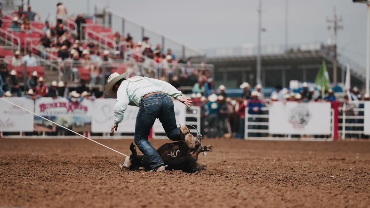 Tie Down Roping Highlights - Salinas Rodeo