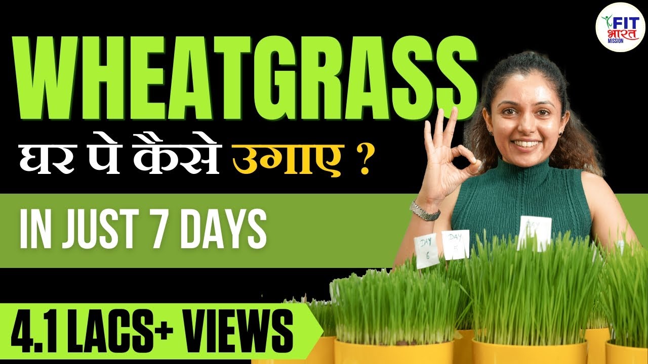 How to Grow Wheatgrass in 7 Days | Detox Your Body | A Complete Guide by Shivangi Desai