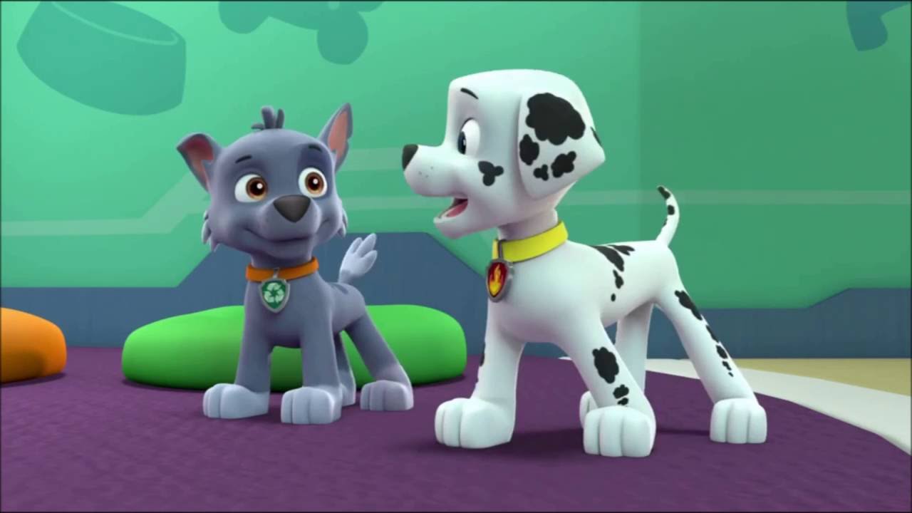 Marshall & Rocky Best Friends Forever