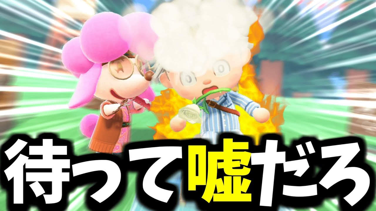 謎のキャラにボコボコにされた【あつまれどうぶつの森 / あつ森】