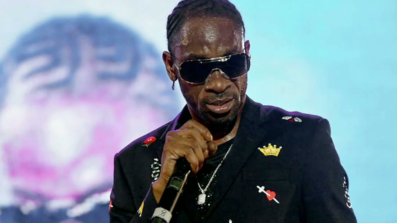 Bounty Killer - Convince A Fi Fly Out Riddim (Remix)