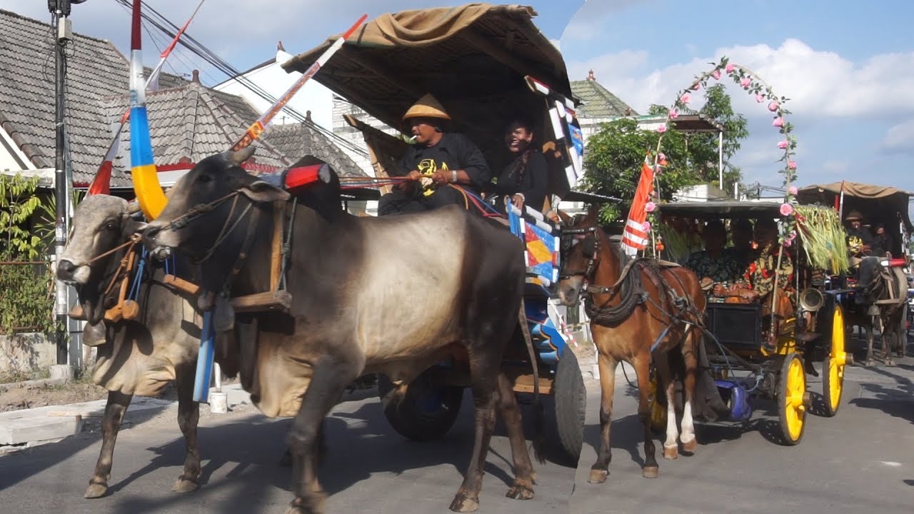 Parade ogoh-ogoh, arak-arakan kereta sapi dan kuda delman, kuda lumping | Kirab budaya JOGJA