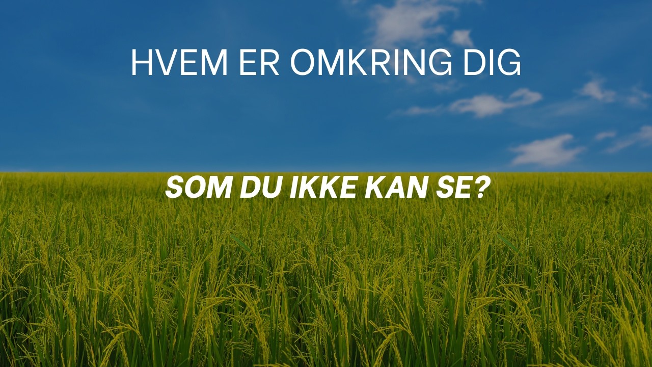 DkHvem er omkring dig, du ikke kan se? 💫✨🥰✨💫 (tidsløs)🎇ElskTarot🎇
