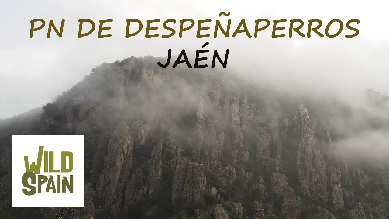 Wild Spain - Cap&iacute;tulo 115 - Parque Natural de Despe&ntilde;aperros, Ja&eacute;n.