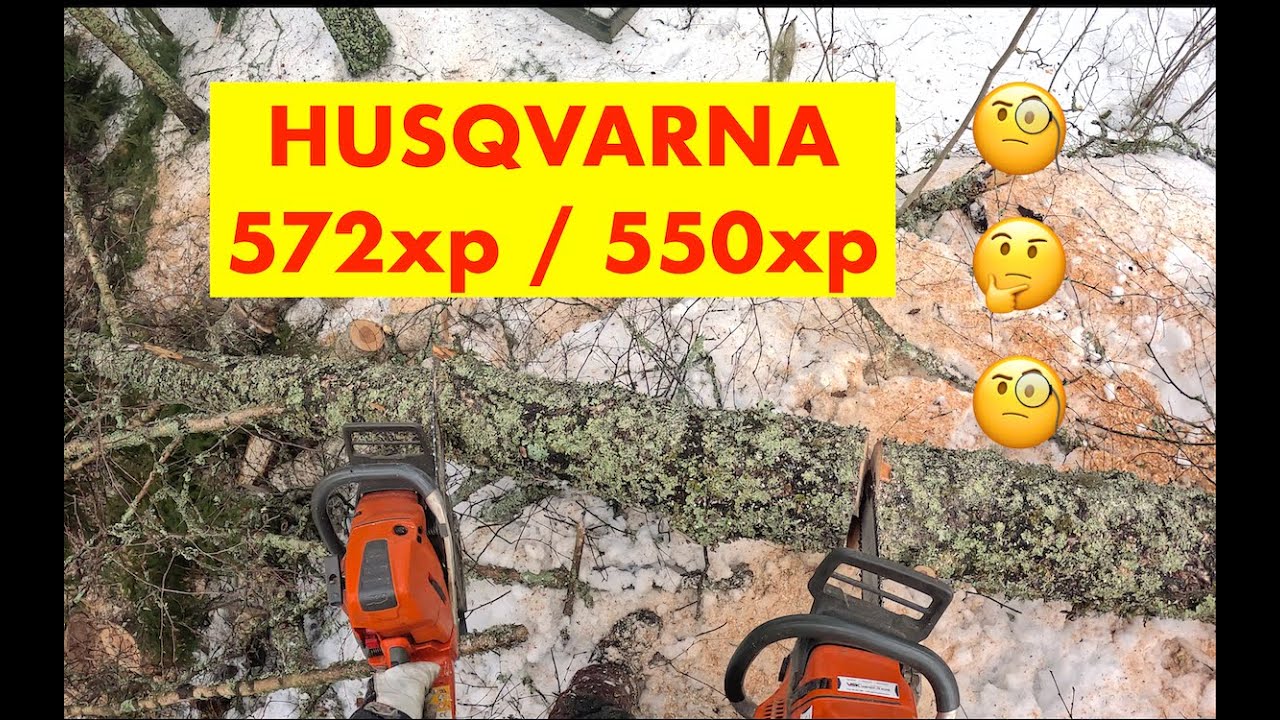 Nuoskaa ja koivuja 🥵. Osa 2, Kahden sahan taktiikalla. Pro Finnish Lumberjack and Husqvarna 572xp.