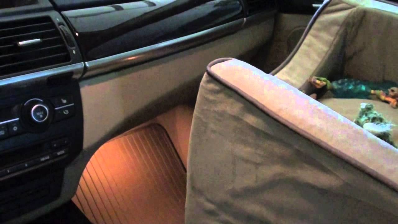 Car Organization