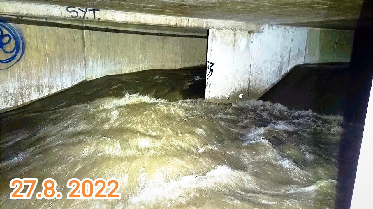 OK Vlhká - odlehčení 27.8. 2022 (Brno - Trnitá)