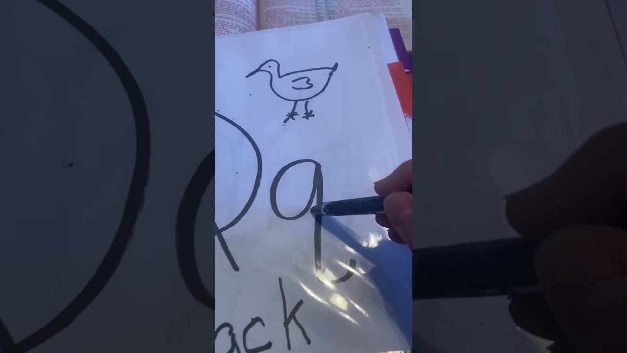Home Schooling Preschool 2/22/26 