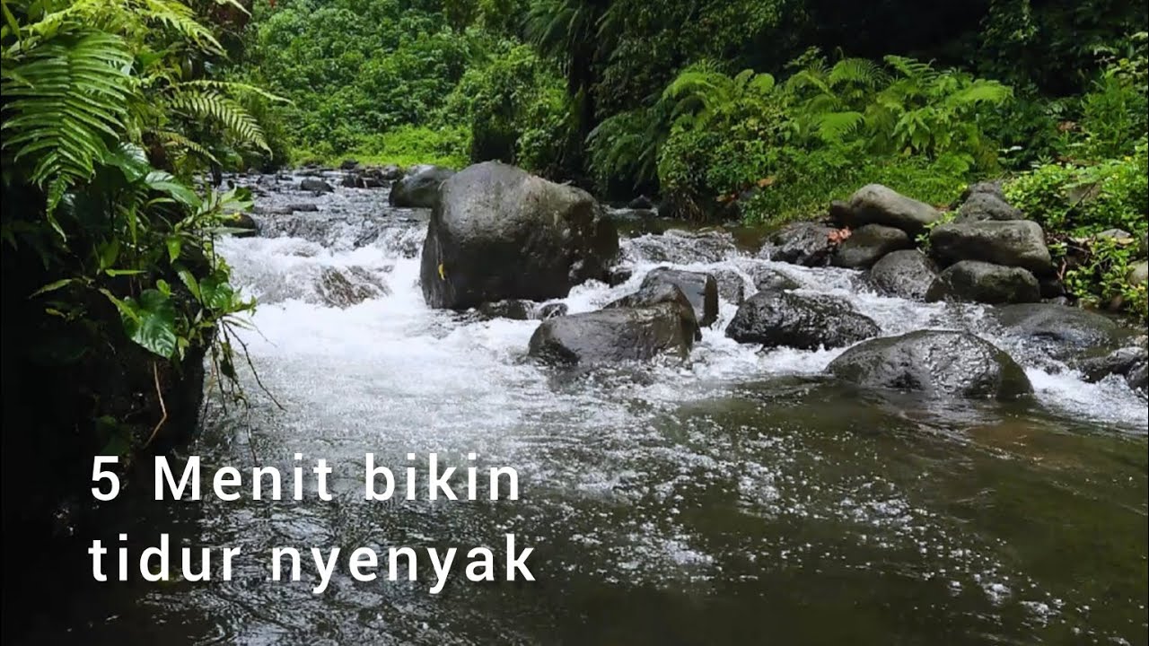 Berkebun dekat sungai - capek jadi hilang - dengar suara alam 