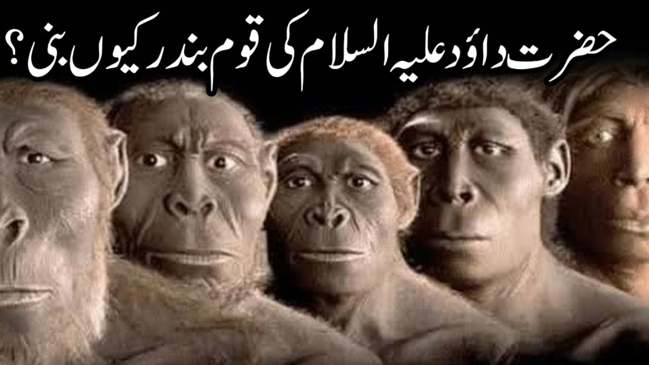 Hazrat Dawood Ki Ummat Bandar Kyo Bani | David | Dawud | Qasas ul Anbiya | Waqia