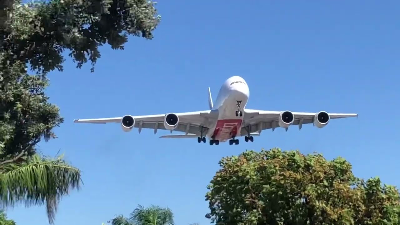 In-n-out LAX Plane spotting 2022