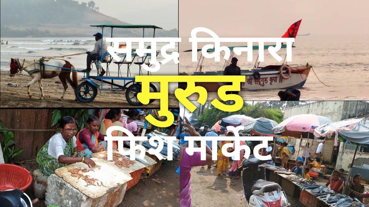 मुरुडचा सुंदर समुद्र किनारा आणि फिश मार्केट I Beautiful Murud Beach & Fish Market