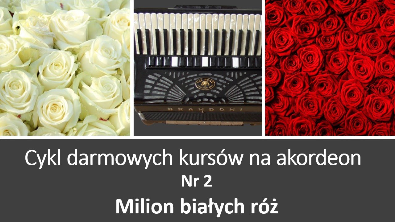 Milion białych róż - darmowy kurs na akordeon
