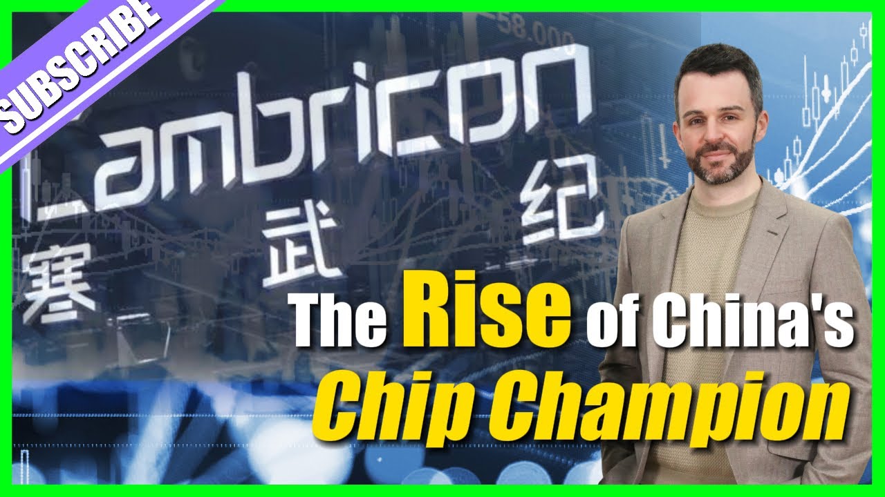 The rise of China's chip champion