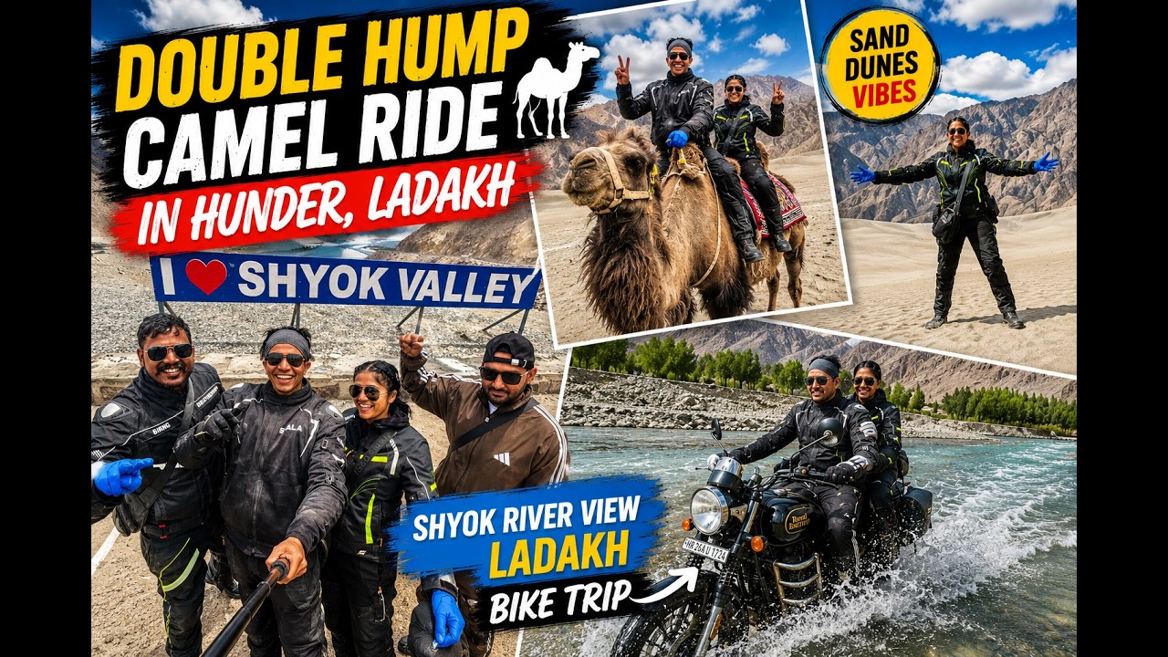🐫Double Hump Camel Ride | Hunder Sand Dunes | Epic Water Crossing | Off-Roading | Shyok River | Bike