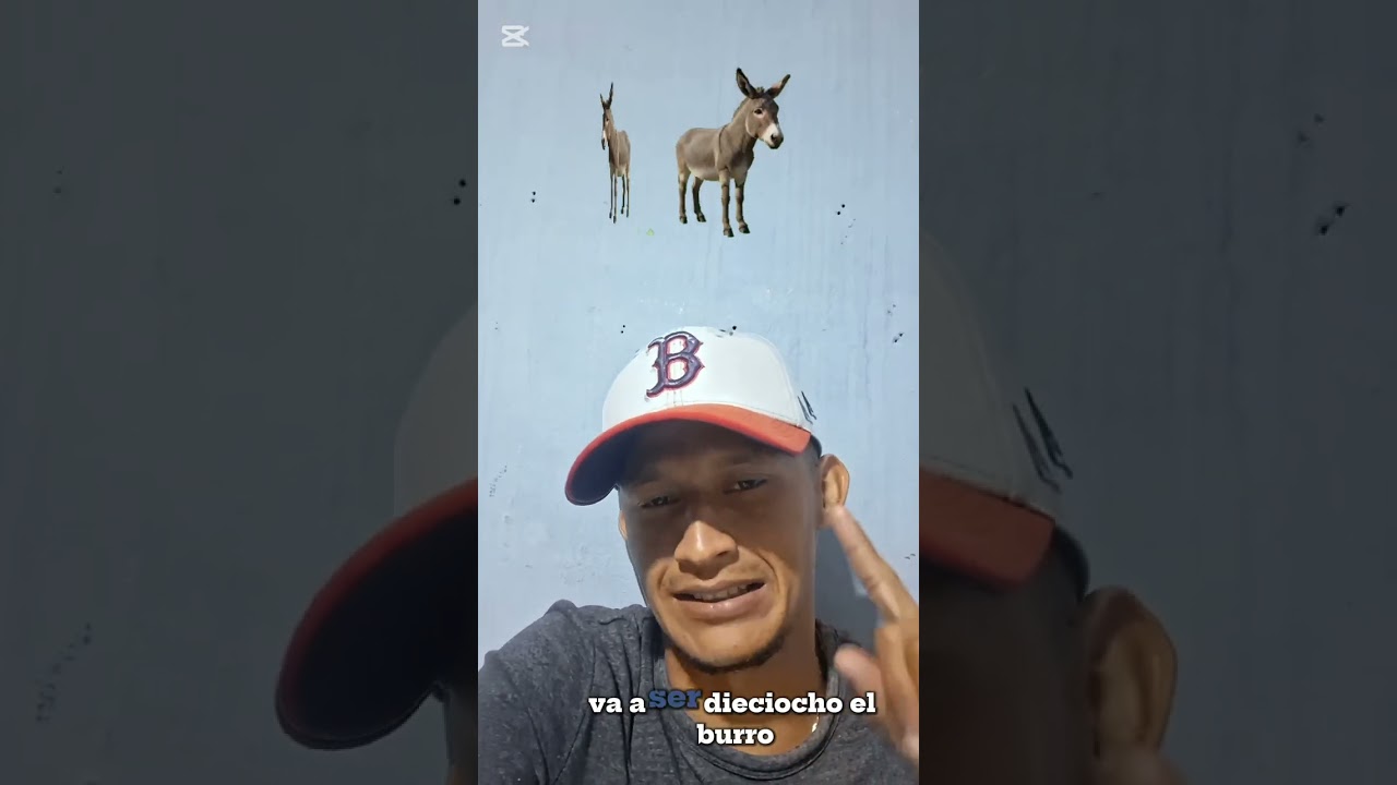 #siemprecondios datos de animalitos para lotto activo granjita guacharo activo d&iacute;a jueves 05/03/2026
