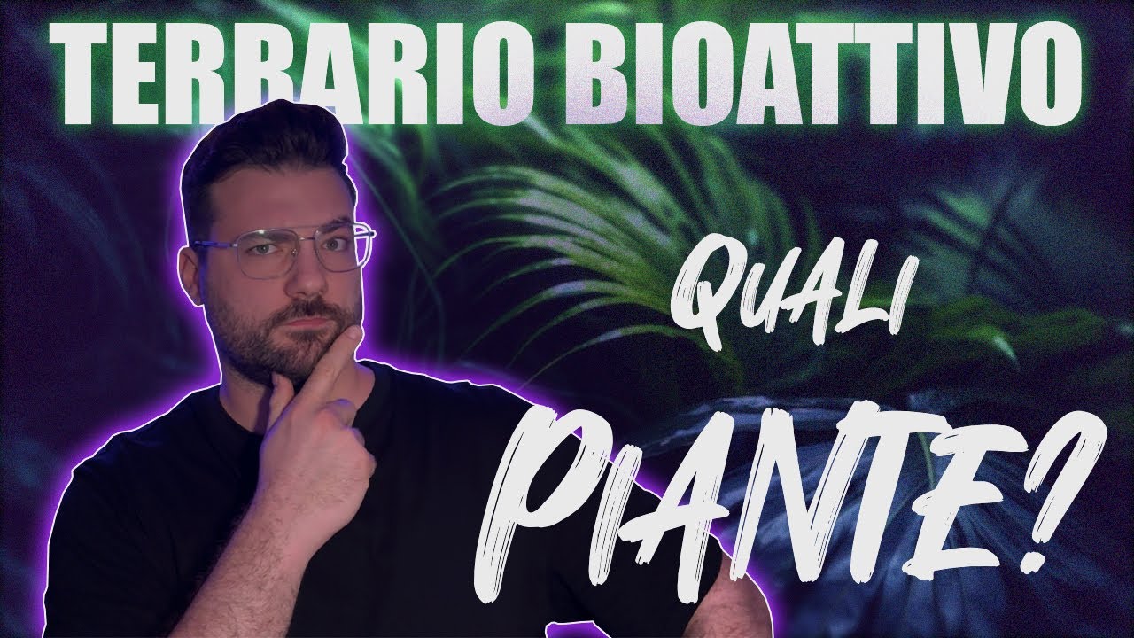 LE PIANTE!! Nel TERRARIO BIOATTIVO!!