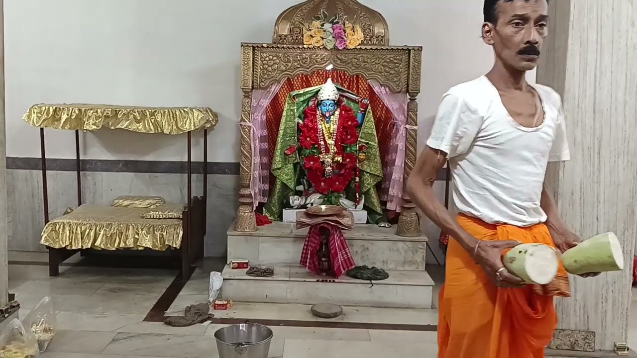 Durga puja video bokkajaan #vlog #vlogger #vlogvideo