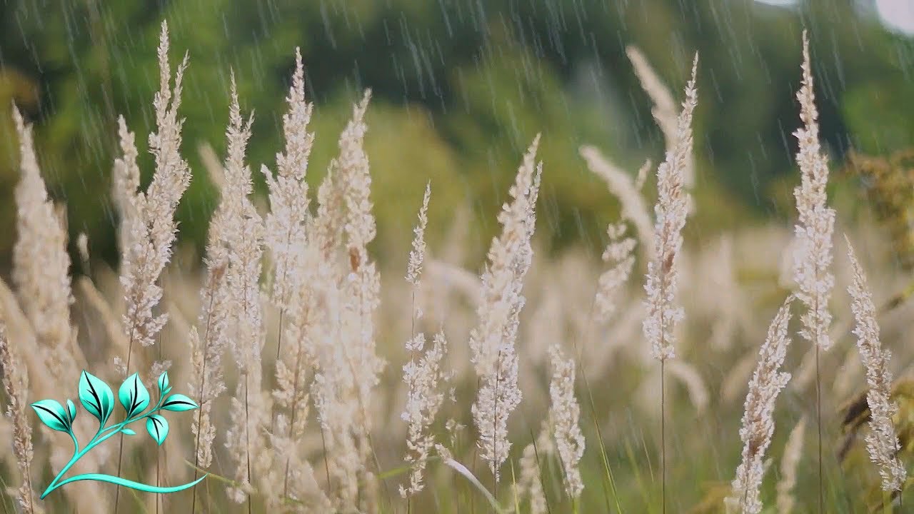 Relaxing Piano Music & Rain Sounds  Deep Sleep, Focus & Stress Relief