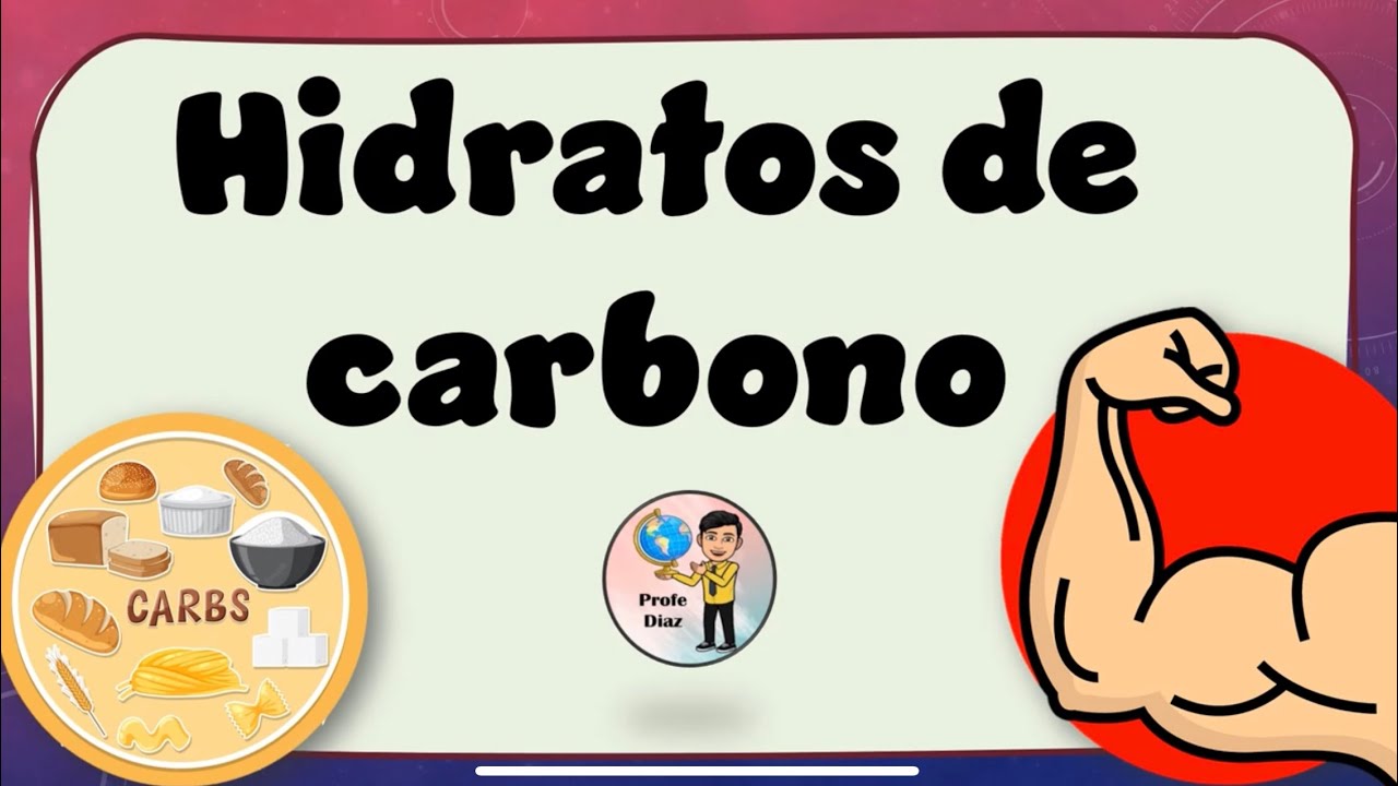 hidratos de carbono