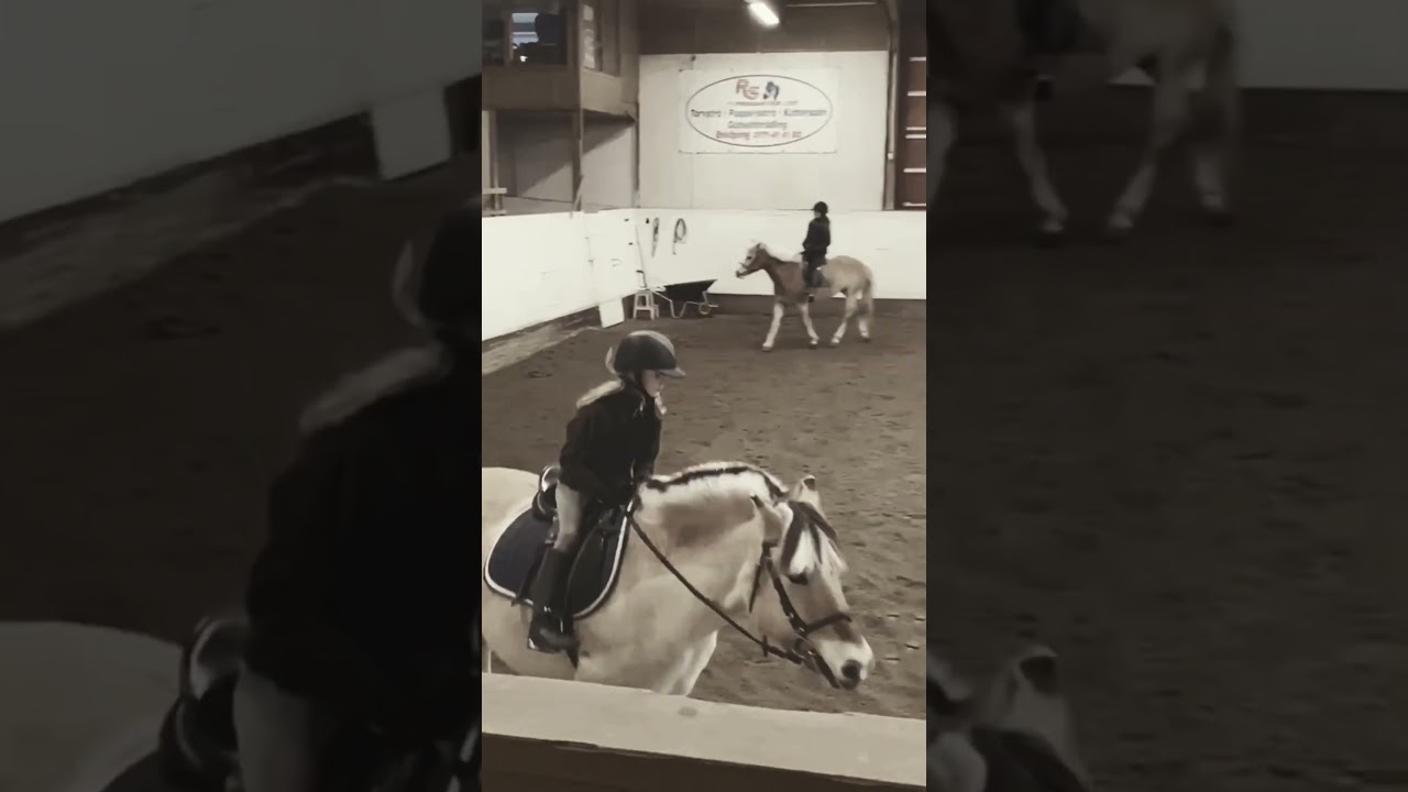 I have soon been riding for 3 years! My first riding lesson was 2nd of January!