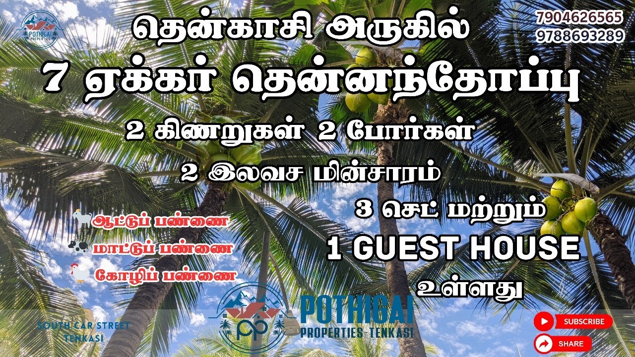 #tenkasi அருகே இயற்கை வளத்துடன் 7 ஏக்கர் தென்னந்தோப்பு விற்பனைக்கு! #farmlandforsale #farmlife #land