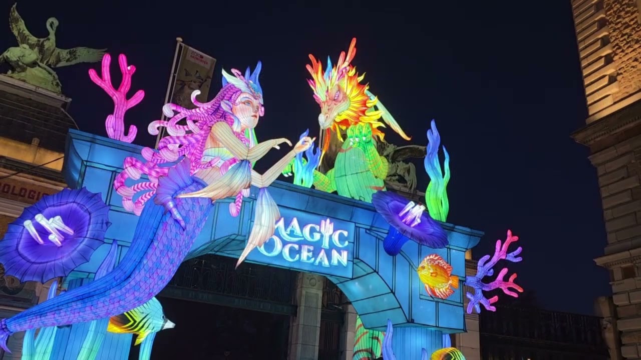Lichtfestival Zoo Antwerpen 2025