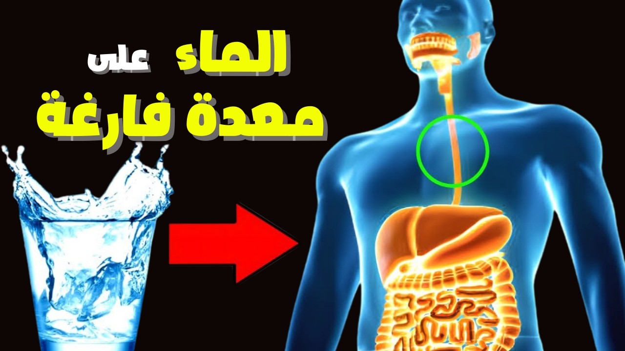 السبب الحقيقي لشرب الماء على معدة فارغة كل يوم (الذي لا يخبرك به أحد)! الإرشادات الصحية.