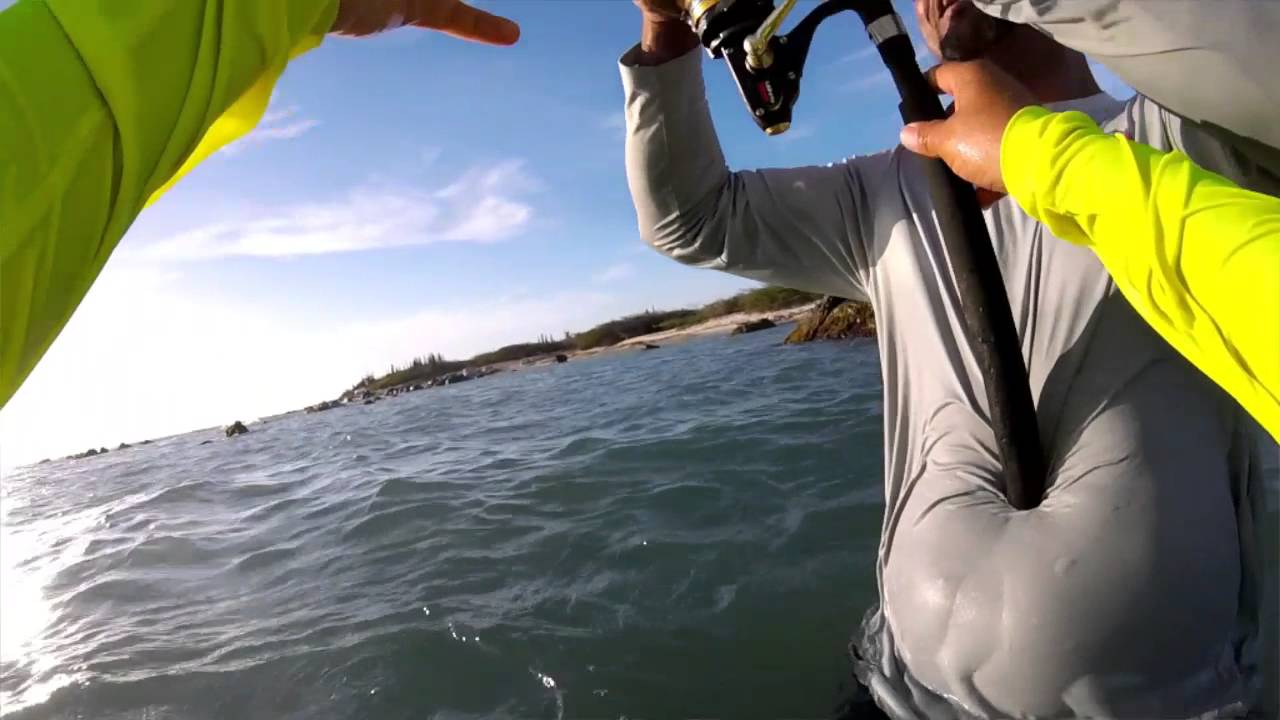 Fishing Noord Arashi Beach Aruba