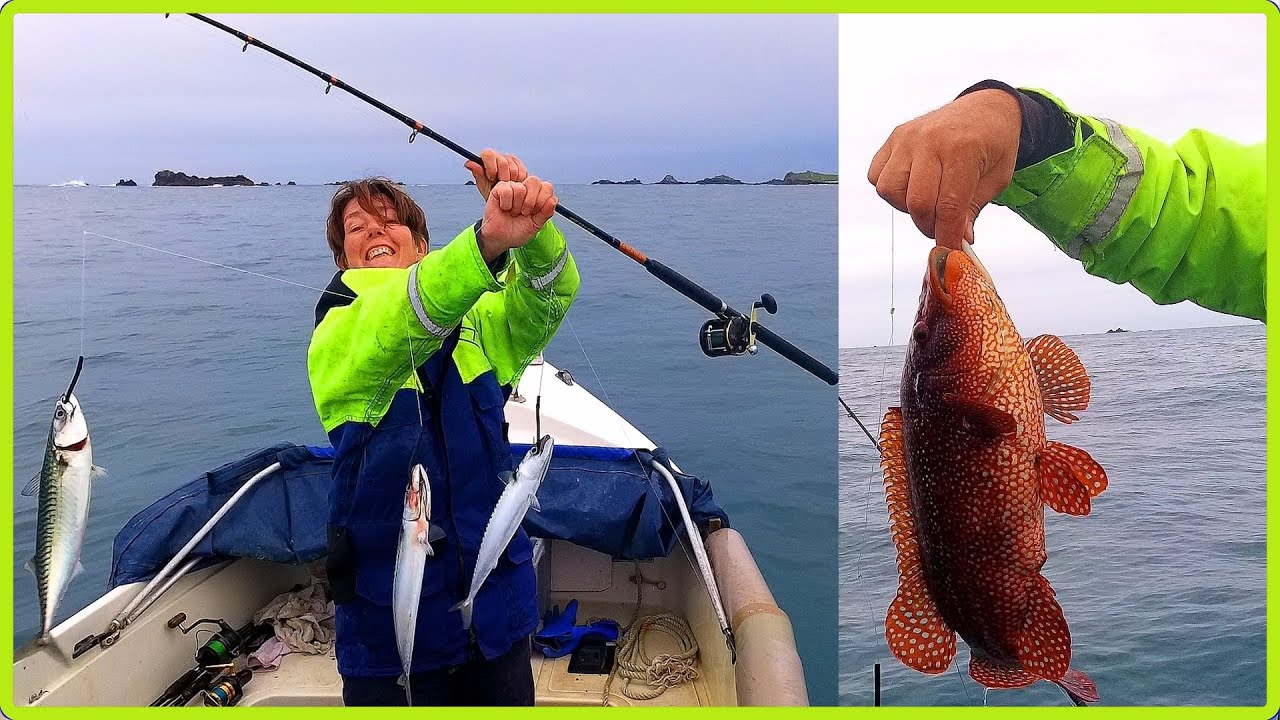 A Great Start To The Season Mackerel Bass Wrasse Pollack Lobster & Spider Crab In Calm Seas 2024