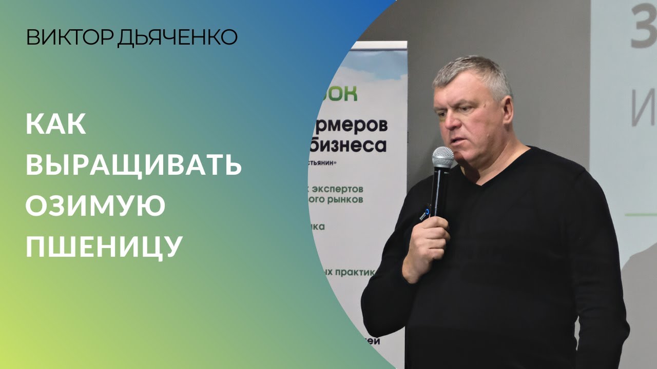 Озимая пшеница: как получают большой урожай | Виктор Дьяченко, сорта НЦЗ им. П.П. Лукьяненко