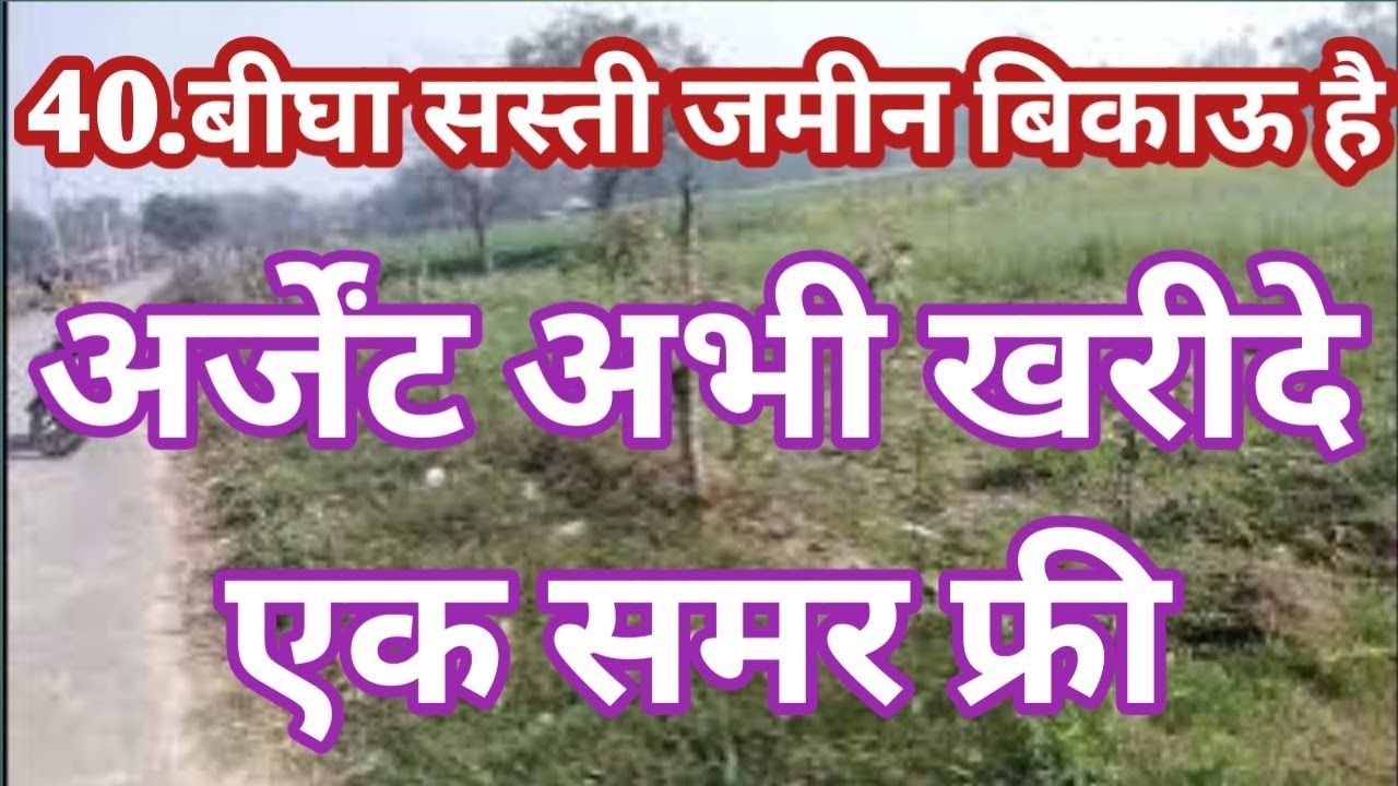 40//बीघा का फार्म हाउस बिकाऊ है रोड से कनेक्ट है एक समर फ्री agriculture land for sale.khet khajana