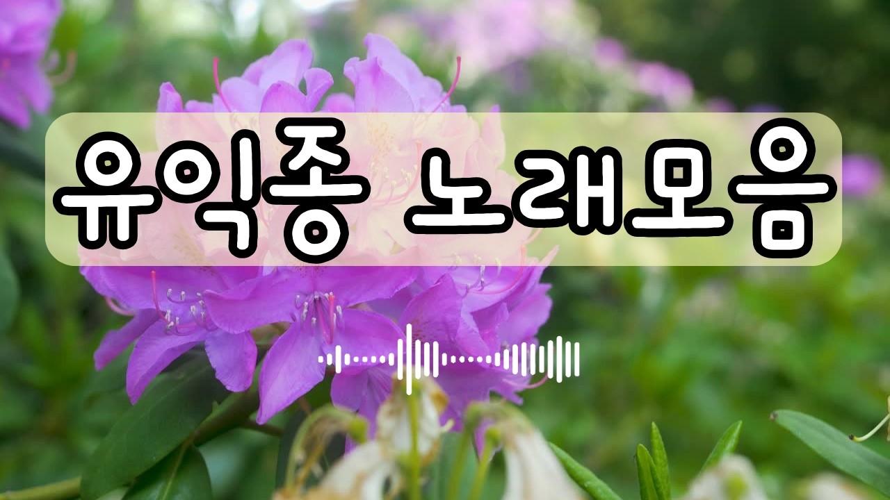 유익종 베스트곡 7080추억의 노래 #7080 #좋은노래 #해바라기 #유익종 #유익종베스트