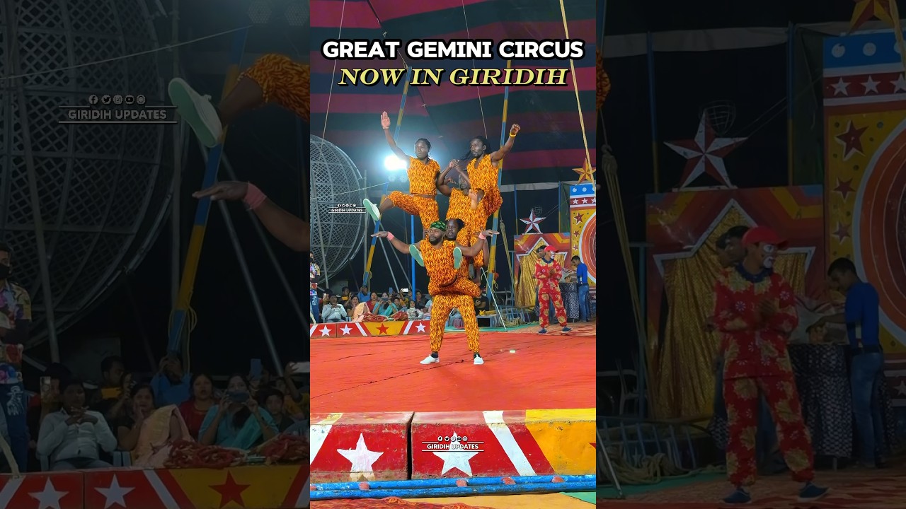 great gemini circus  #circus #geminicircus #giridihupdates #stunt #gymnast #indian #africa #reels