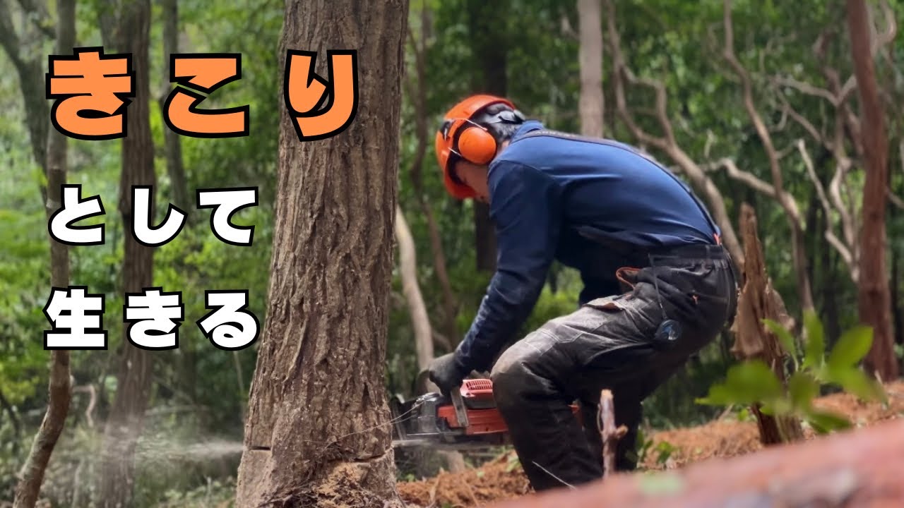 #50 田舎で見つけた、きこりという生き方 | 森と小さな暮らし