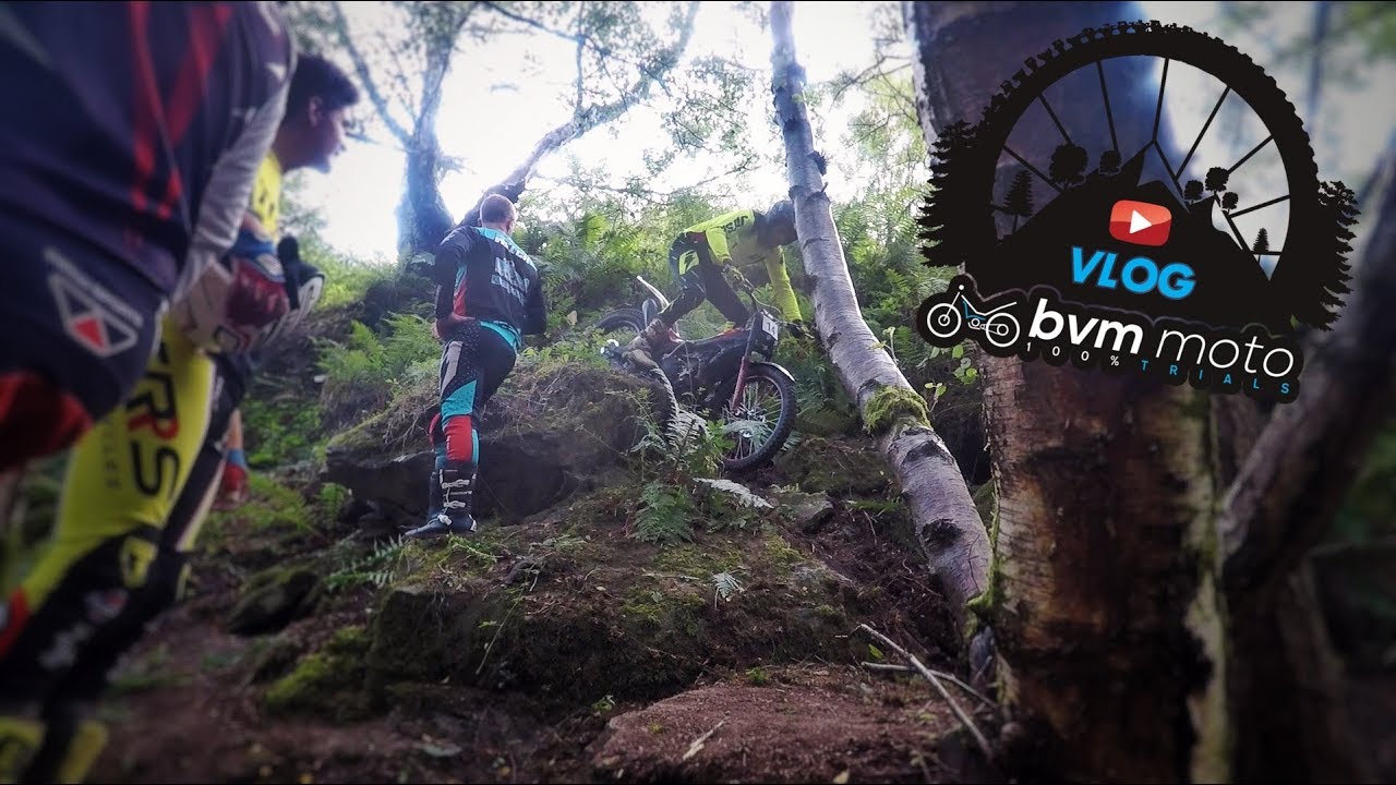 BVM VLOG #25 - Forest of Dean